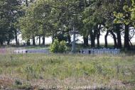 Преслав з panoramio.com - Preslav