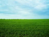 Розсохувата - Останні фото