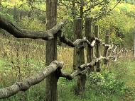 Грушківка з panoramio.com