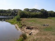 Івашківка з panoramio.com