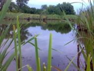 Сидоровичі з panoramio.com