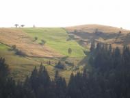 Паркулина з panoramio.com