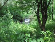 Загнітків з panoramio.com