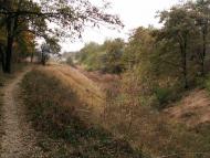 Ревівка з panoramio.com