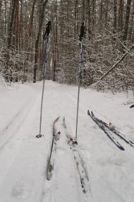 Наталине з panoramio.com