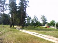 Сосонка з panoramio.com