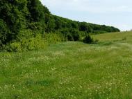 Шпиківка з panoramio.com