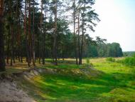 Новий Білоус з panoramio.com