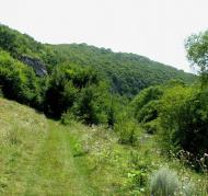 Залуччя з panoramio.com