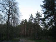 Кузьки з panoramio.com