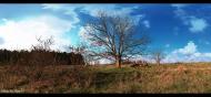 Жван з panoramio.com - Жван
