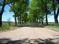 Булахів з panoramio.com