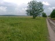 Підвисоке з panoramio.com