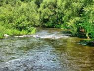 Нова Романівка з panoramio.com