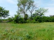 Шмідта з panoramio.com