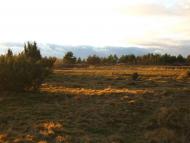 І СВІТАЄ, І СМЕРКАЄ