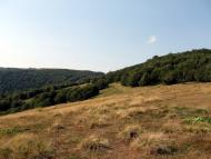 Вучкове з panoramio.com