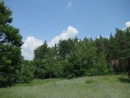 Троянівка з panoramio.com