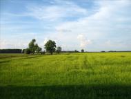 Скрипчин з panoramio.com