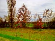 Насташка - Останні фото