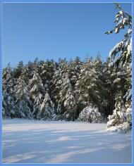 Хмелівка з panoramio.com