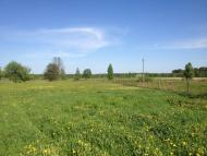 Корощине з panoramio.com