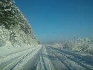 Саранчуки з panoramio.com