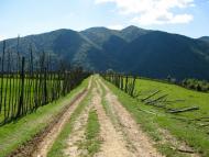 Негровець з panoramio.com