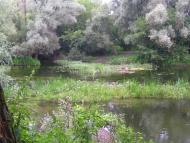 Селезнівка з panoramio.com