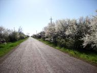 Вірівка з panoramio.com