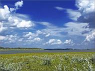 Вільне з panoramio.com