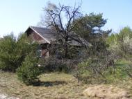 Красний Бір з panoramio.com