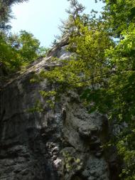 Польове з panoramio.com