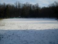 Привільне з panoramio.com