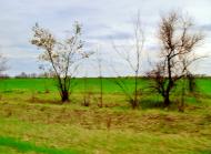 Насташка - Останні фото