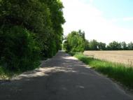 Михайло-Коцюбинське з panoramio.com