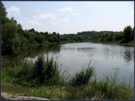 Сорокодуби з panoramio.com