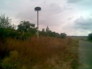 Єлизаветівка з panoramio.com