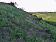 Цупки з panoramio.com