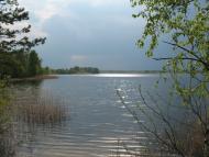 Кропивенка з panoramio.com