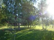 Новий Тагамлик з panoramio.com