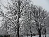 Українськ з panoramio.com