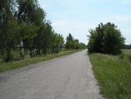 Скрипчин з panoramio.com