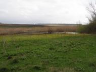 Червоний Кут з panoramio.com