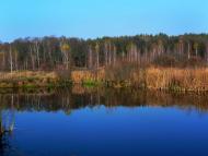 Пролетарська Рудня з panoramio.com