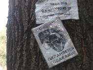 Мар'янське з panoramio.com