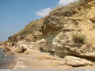 Широкине з panoramio.com