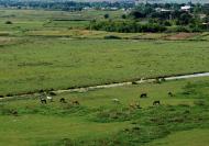 Ямпіль з panoramio.com