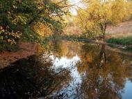 Ярове - Останні фото