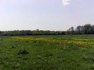 Майдан з panoramio.com